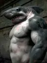 Tubaralho's Avatar