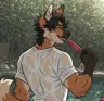 FURRYCAVES's Avatar