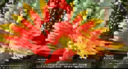 FxFtHXpaQAAGZC5.jpg