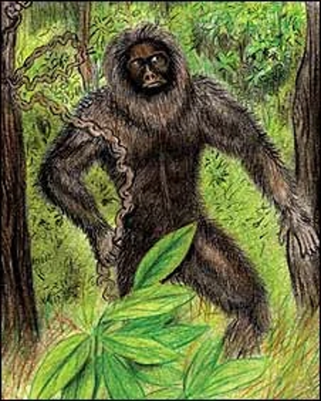 The_Grassman's Avatar