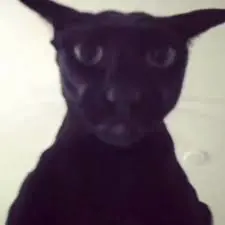 LarriPustotlyvyi's Avatar