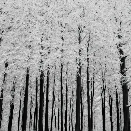 Craig Severance - WHITE