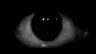 BSET's Avatar