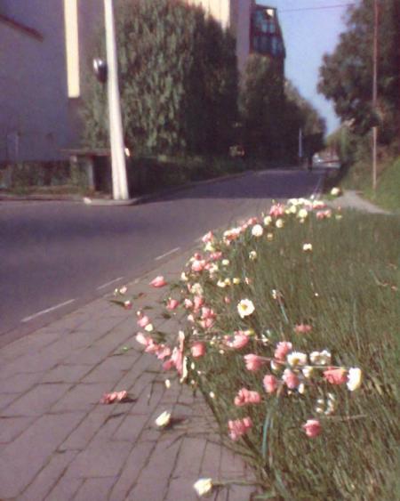 street, road, flower, grass, photo, <lora:lowfi-step00015000:1>