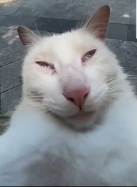 FeiikM's Avatar