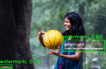 watermark detection yolo10s v1.0