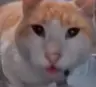 ddd727's Avatar