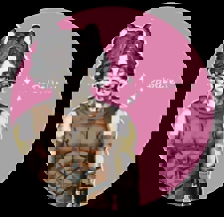 TheGuyFromFearAndHunger's Avatar