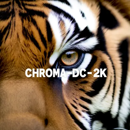 Chroma-Flash-Heun