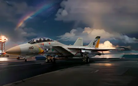 F-14 Tomcat