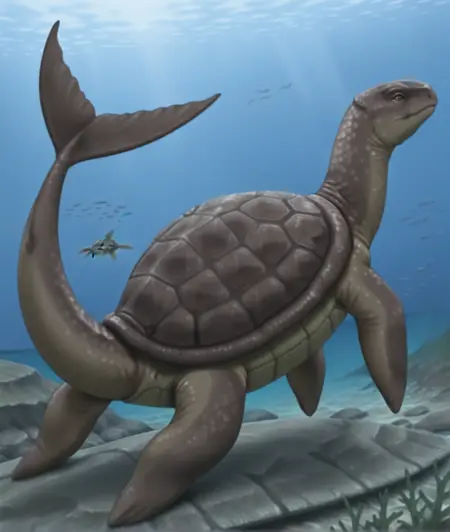 モハモハ/Moha–Moha