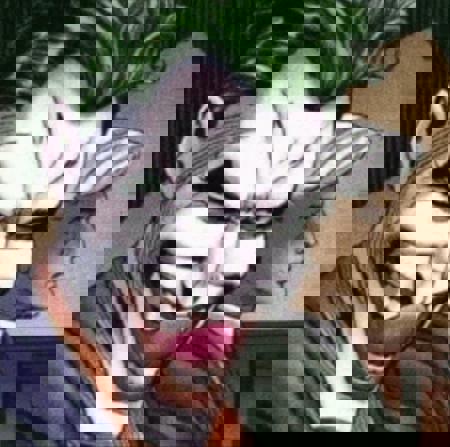 Ethanh33h's Avatar
