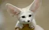 thejaff72's Avatar