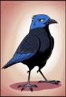 blackbird0006