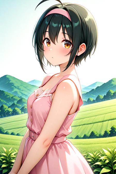 THE iDOLM@STER Cinderella Girls - Miho Kohinata - Illustrious v1.0