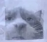 Munzu's Avatar