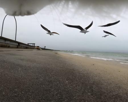 <lora:catpov:1>, catpov, background, foreground, from below,A person walking along a deserted pier with seagulls soaring overhead.