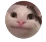 AllTheEpochs's Avatar