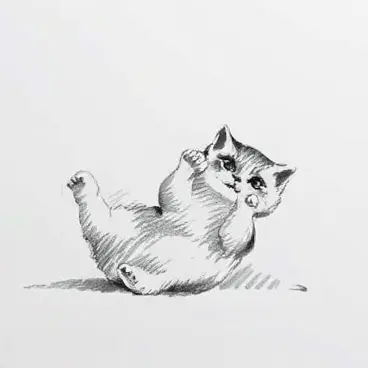 Pencil Sketch - Sketchs of pets and everything else - Bold and large strokes
