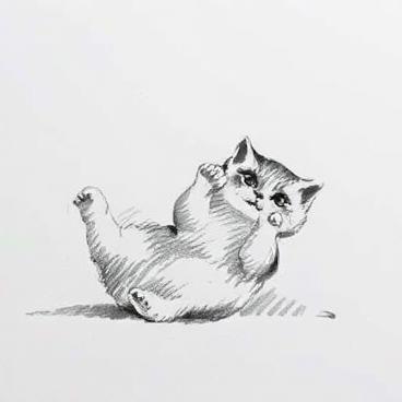 Pencil Sketch - Sketchs of pets and everything else - Bold and large strokes Flux