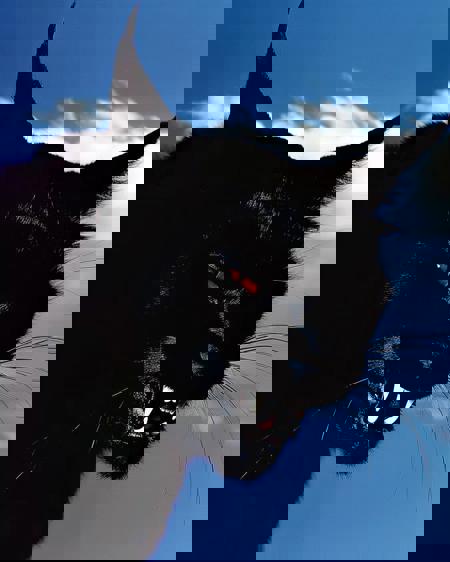 vaybender's Avatar