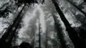 borjbadua22278's Avatar