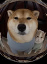 mcdogo