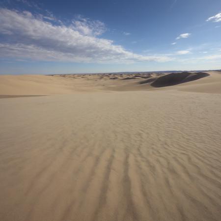 A image of An expansive desert, punctuated by monumental sand dunes and sparse vegetation.
 Captured in HD on a hassleblad