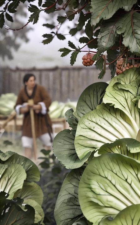 cinematic film still Anthropomorphic cabbage screaming, realistic, no humans, food focus, vegetable, still life, guro, blurry background
 <lora:xrs2.0:1> . shallow depth of field, vignette, highly detailed, high budget, bokeh, cinemascope, moody, epic, gorgeous, film grain, grainy