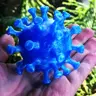 FractalEng's Avatar