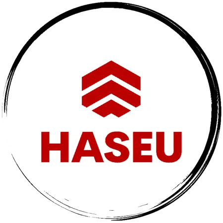 Haseu's Avatar