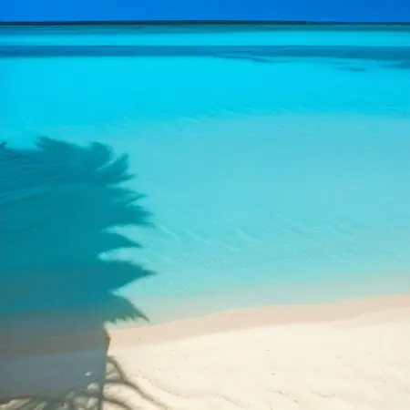 Okinawa White Sand Beach - Illustrious