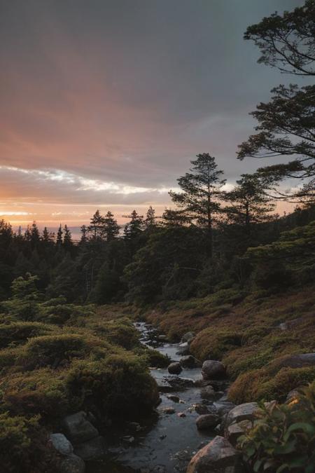 raw photo, a sunset landscape, Valdivian temperate forests, Chilean forest,  cozy, photorealistic, high detailed texture, 8k uhd, dslr, soft lighting, high quality, film grain, Fujifilm XT3, Sony A7 IV, highly detailed photography, (muted colors, cinematic, dim colors, soothing tones:1.2), vibrant, insanely detailed, hyperdetailed, (dark shot:1.2), (vsco:0.3), (intricate details:0.9), (hdr, hyperdetailed:1.2) (highest coherency: 1.39) (highest quality: 1.39) (rule of Thirds) (award winning) (breathtaking) (masterclass) (vibrant color: 0.79) (raining)