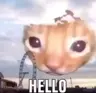 hgtbbhrjtuyrhtg87656h's Avatar