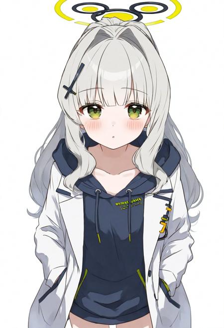 hasei01 style NoobAI / Illustrious v1.0