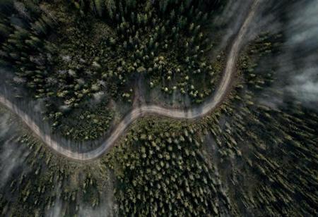 RPG Tile, RPG Battlemap, top down view, birds eye view, overhead view of a haunted forest, eerie, dust road, ground fog, dim light, realistic, clear picture, UHD, 8K, photorealistic