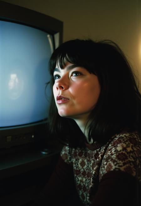 Young Bjork (SDXL - Flux D) Flux D V1