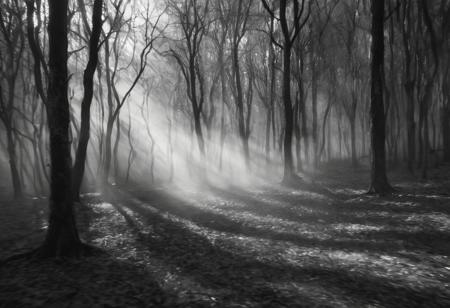 Black and white photo. In the foreground there are many blurred running figures. With the effect of motion blur. The background is a dark, mysterious forest, with crooked trees, light fog and a rare glimmer of sunlight. . Contrast lighting, photorealism