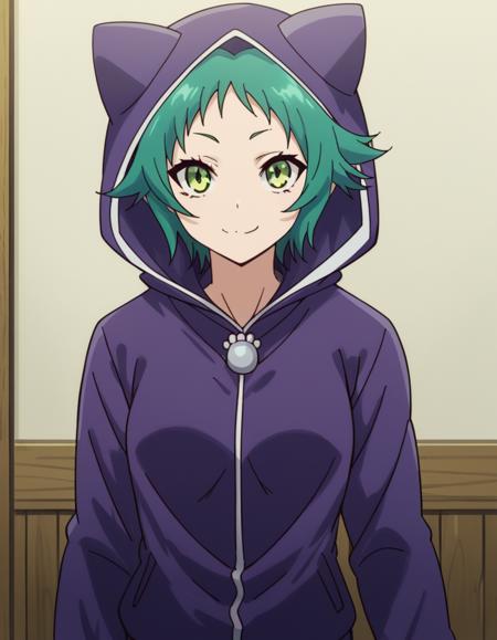 <lora:yaya-fushiguro-s1-ponyxl-lora-nochekaiser:1>, yaya fushiguro, short hair, green eyes, green hair, long sleeves, hood, hoodie, animal hood, track suit, cat hood,