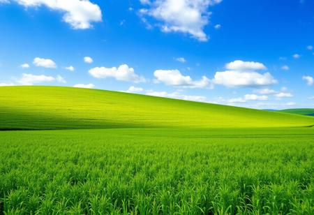 lush green field, iconic rolling hills, bright and vibrant green grass stretching far into the horizon, blue sky with scattered fluffy clouds, clear and sunny day, high-resolution, ultra-realistic textures, serene and peaceful atmosphere, vast open landscape, inspired by the classic Windows wallpaper, soft gentle slopes, minimalistic yet beautiful, perfect symmetry in nature, tranquil and calming mood, (blurry details:-1.6), (overexposed lighting:-1.5), (dull colors:-1.5), (flat composition:-1.4), (urban elements:-1.6)
