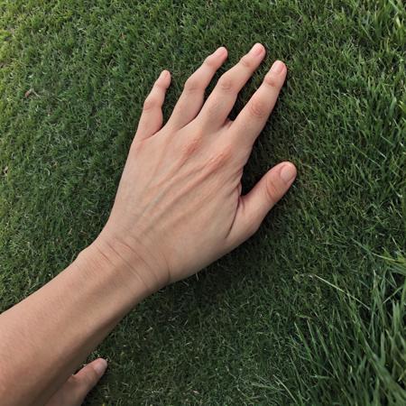 (best quality, masterpiece),  <lora:touch_grass:0.8> touch_grass, outdoor, hand, grass, 5 fingers