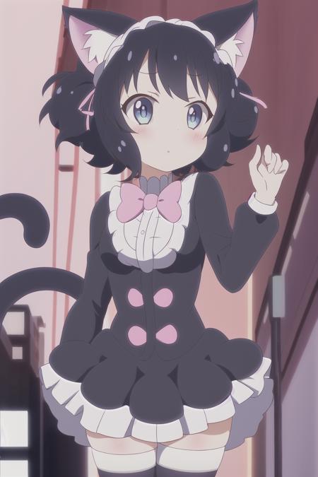 1girl, show_by_rock, cat ears, short black hair, street background, striped stockings, cat tail, dress