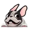 oogers's Avatar