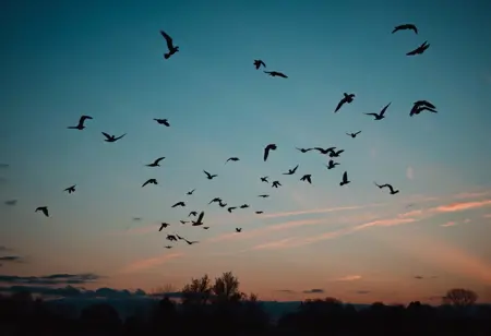 Cloudy Sky v1