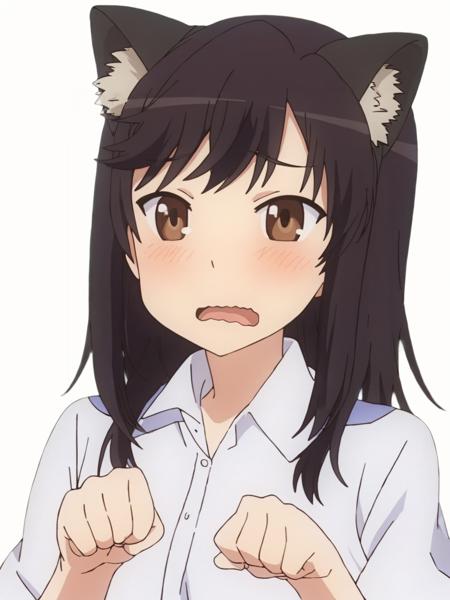 Pony/Animagine/SD1.5] Ichijou Hotaru (一条蛍) | Non Non