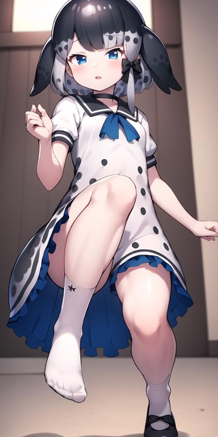 narwhal_(kemono_friends), narwhal_fins, narwhal_Default, (from below:1.05), standing, sailor_dress, sailor_collar, black_choker, puffy_short_sleeves, bow, frilled_dress, white_dress, frills, narwhal_tail, narwhal_fins, side_ponytail, black_hair_bow, short_hair, multicolored_hair, grey_hair, black_hair, white_hair, blue_eyes, white socks, black footwear, 1girl, solo, looking_at_viewer, 
 <lora:narwhal_(kemono_friends)_v2.1:0.65>