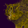 kabachuha