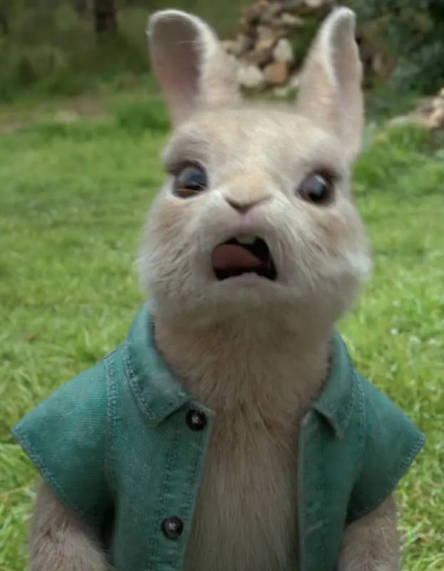 peterrabbit-animationscreencaps.com-784.jpg