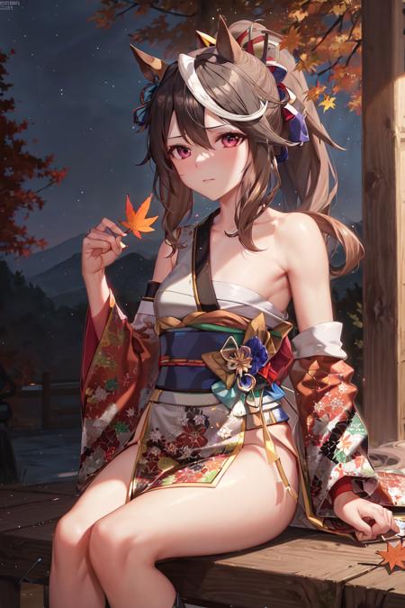 masterpiece, best quality,
symboli rudolf \(umamusume\), 
 (chest sarashi:1.2),
autumn leaves, autumn, night sky, sitting, holding leaf,
official alternate costume, (hadanugi dousa:1.2), japanese clothes, open kimono, detached sleeves, single sleeve, ponytail, single bare shoulder, long sleeves, obi, sash, <lora:sybmoli_rudolf_locon_0.99:0.6>