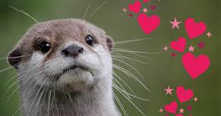 eastriverotter's Avatar